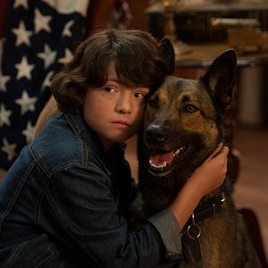 Bilder Max - Agent auf vier Pfoten