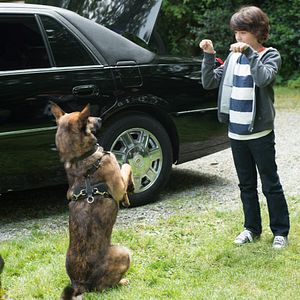 Bilder Max - Agent auf vier Pfoten