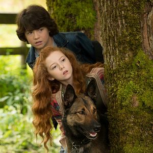 Bilder Francesca Capaldi