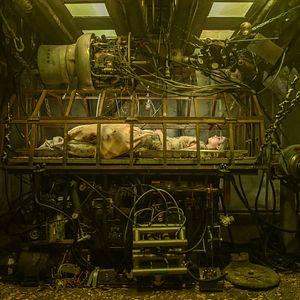 Bilder The Curse Of Sleeping Beauty - Dornröschens Fluch