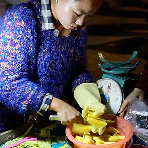 Bilder À la recherche des femmes chefs