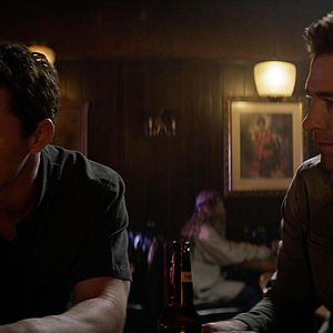 Bilder Animal Kingdom