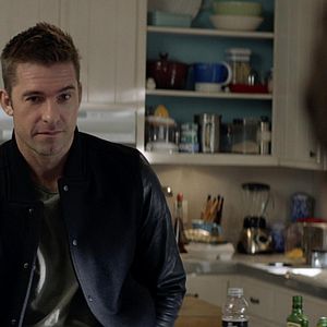 Bilder Animal Kingdom