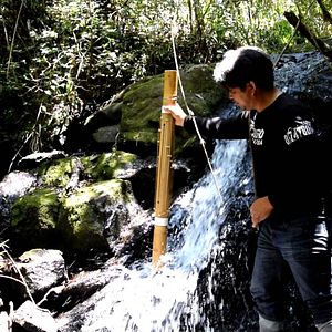 Bilder Songs for Madagascar