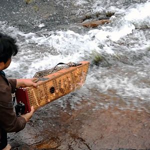 Bilder Songs for Madagascar