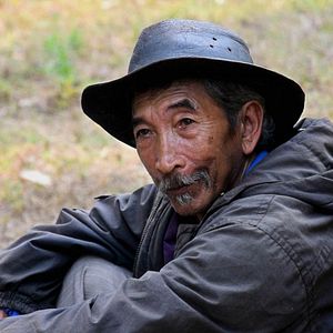 Bilder Songs for Madagascar