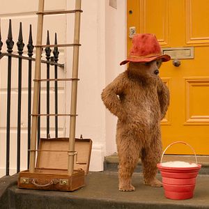 Bilder Paddington 2
