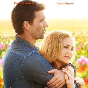 Bilder Tulips in Spring