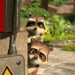 Bilder Bigfoot Junior