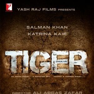 Bilder Tiger Zinda Hai