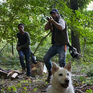 Bilder It Comes At Night