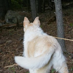 Bilder It Comes At Night