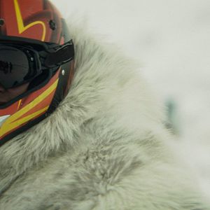 Bilder Rendezvous mit einem Eisbär