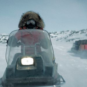 Bilder Rendezvous mit einem Eisbär