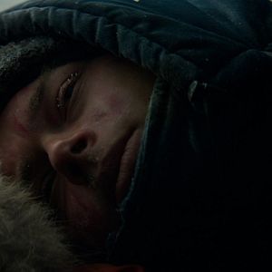 Bilder Rendezvous mit einem Eisbär