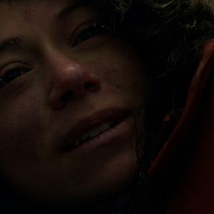 Bilder Rendezvous mit einem Eisbär