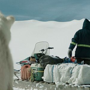 Bilder Rendezvous mit einem Eisbär