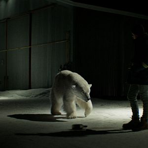 Bilder Rendezvous mit einem Eisbär