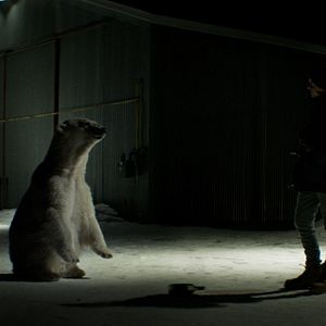 Bilder Rendezvous mit einem Eisbär