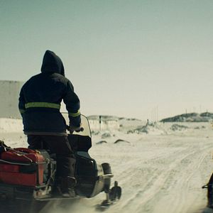 Bilder Rendezvous mit einem Eisbär