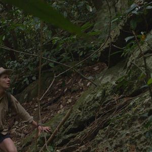 Bilder Cyril Descours