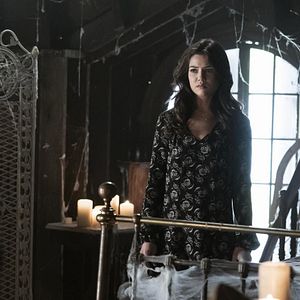 Bilder Danielle Campbell