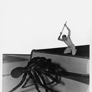 Bilder Grant Williams