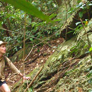 Bilder Cyril Descours