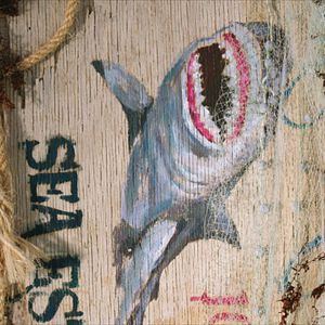 Bilder 47 Meters Down