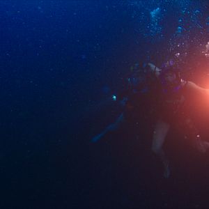 Bilder 47 Meters Down