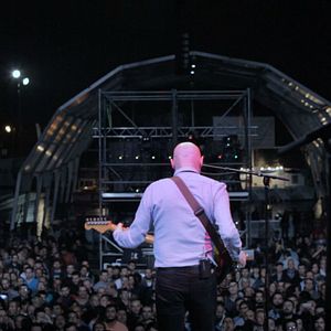 Bilder Mi vida entre las hormigas