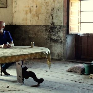 Bilder Mi vida entre las hormigas