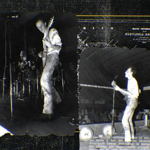 Bilder Mi vida entre las hormigas