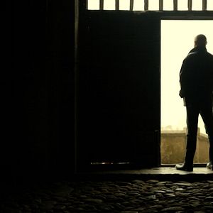 Bilder Mi vida entre las hormigas