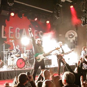 Bilder Mi vida entre las hormigas