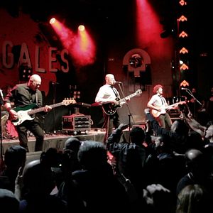 Bilder Mi vida entre las hormigas