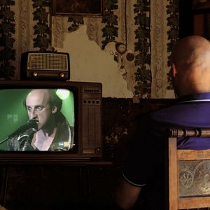 Bilder Mi vida entre las hormigas