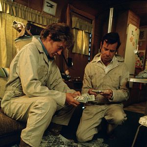 Bilder Andrew Robinson