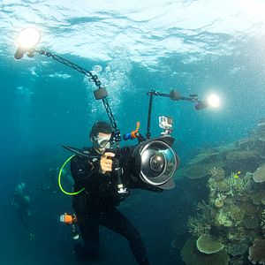 Bilder Jeff Orlowski