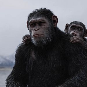 Bilder Planet der Affen 3: Survival