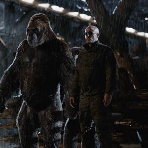 Bilder Woody Harrelson