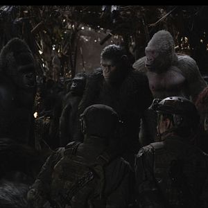 Bilder Planet der Affen 3: Survival