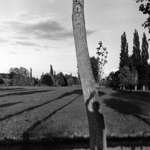 Bilder Robert Doisneau - Das Auge von Paris