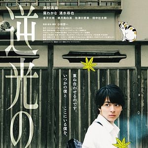 Bilder The Time Of Backlights