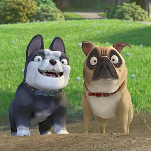 Bilder Operation Nussknacker 2: Voll auf die Nüsse