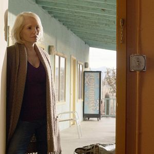 Bilder Animal Kingdom