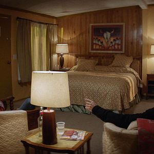 Bilder Animal Kingdom