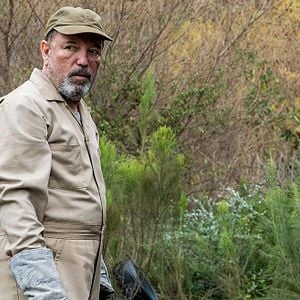 Bilder Fear The Walking Dead