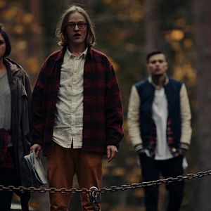 Bilder Mimosa Willamo