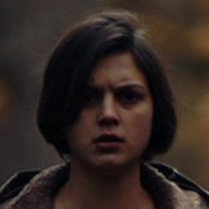 Bilder Mimosa Willamo